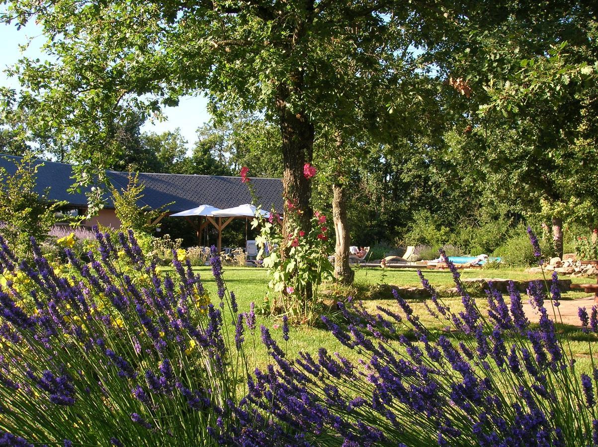 La Villa Des Pins Verrieres (Vienne) Exterior foto